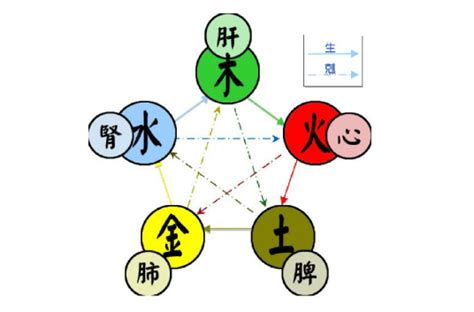 五行属金的物品|五行（对万事万物的取象比类）